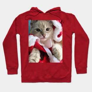 Saoirse ragdoll Santa baby Hoodie